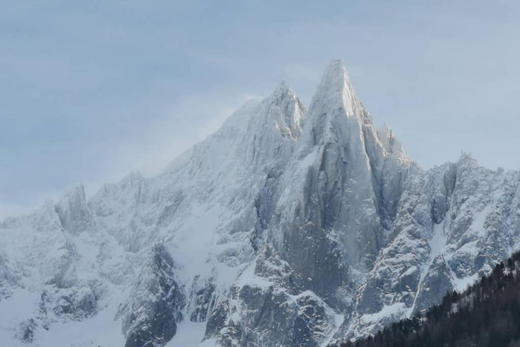 Residence Luxe 5*,Spa & Fitness, La Cordee Appartement 821 Chamonix Exterior foto